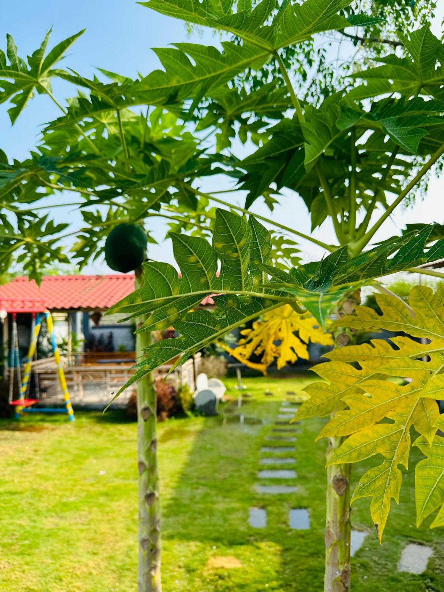 Pk Sahara Farm Stay Mysore Luaran gambar